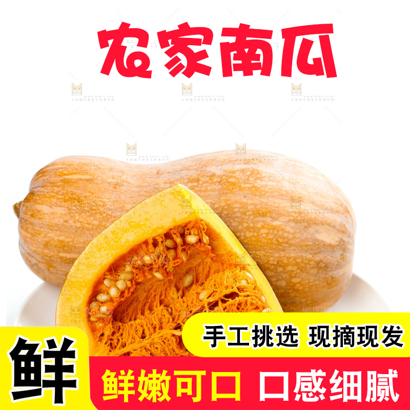 白底上的老南瓜