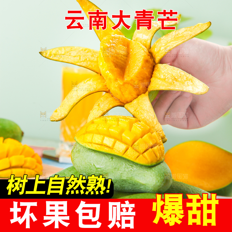 浅底上的新鲜大青芒
