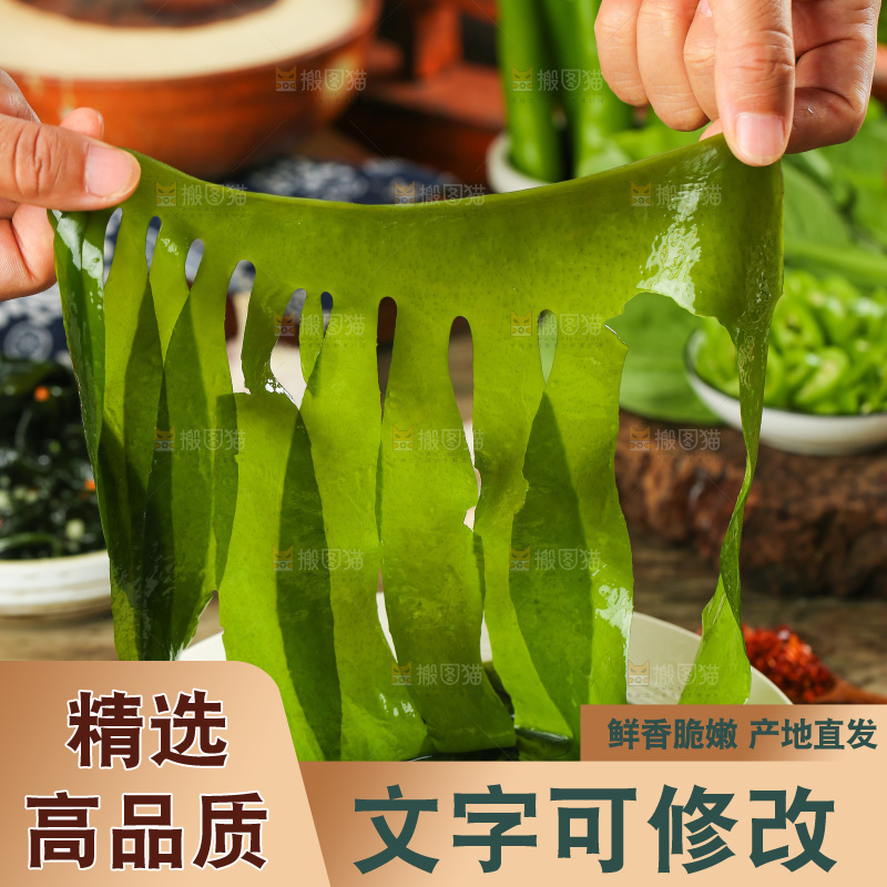深底上的裙带菜