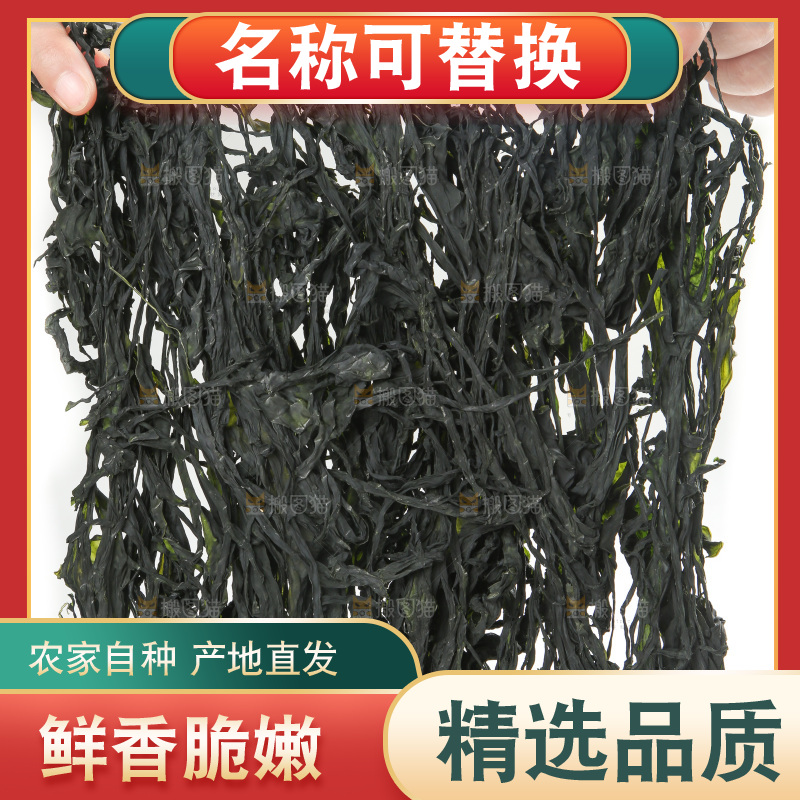 白底上的裙带菜