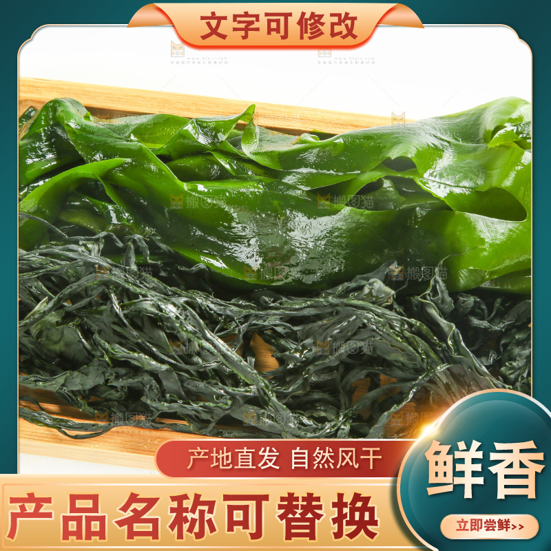白底上的裙带菜