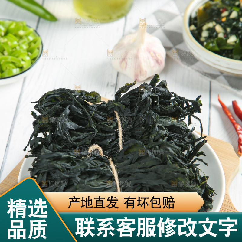 浅底上的裙带菜