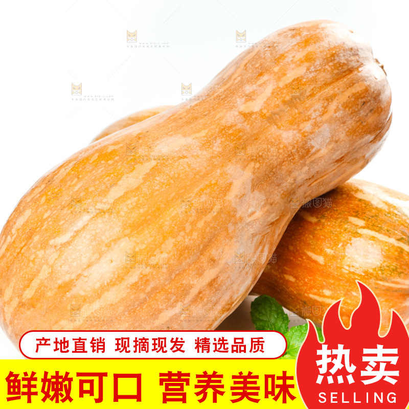 白底上的老南瓜