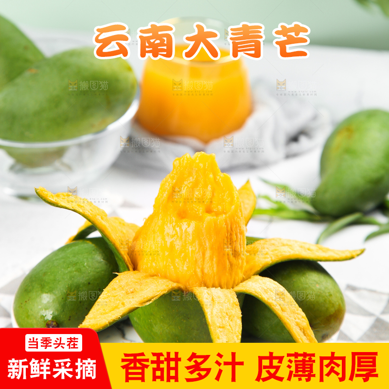 浅底上的新鲜大青芒