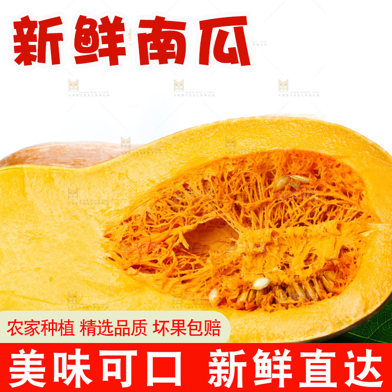 白底上的老南瓜