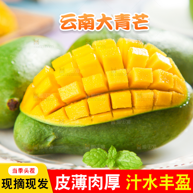 浅底上的新鲜大青芒