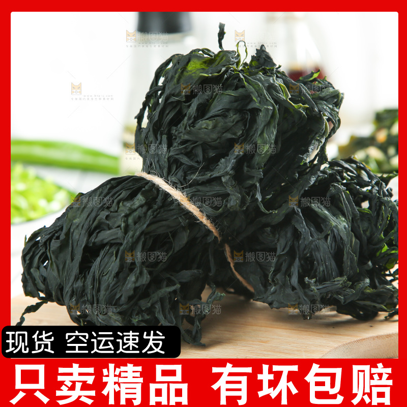 浅底上的裙带菜