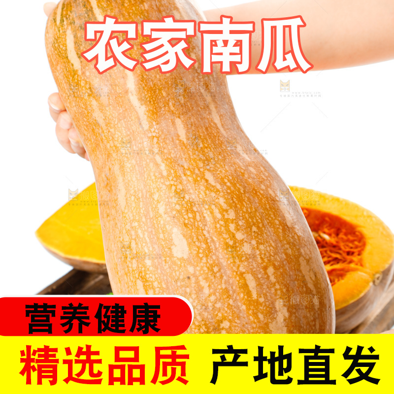 白底上的老南瓜