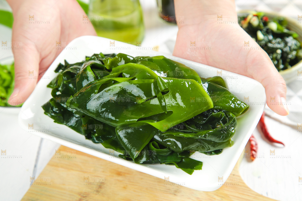 浅底上的裙带菜
