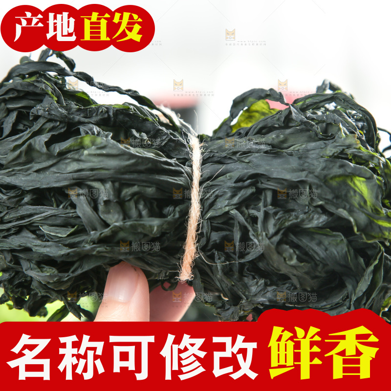 浅底上的裙带菜