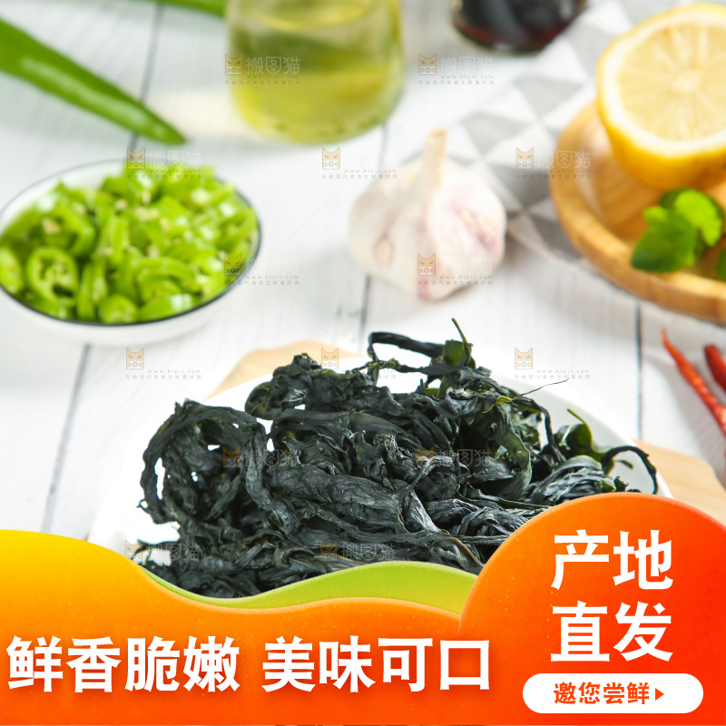 浅底上的裙带菜