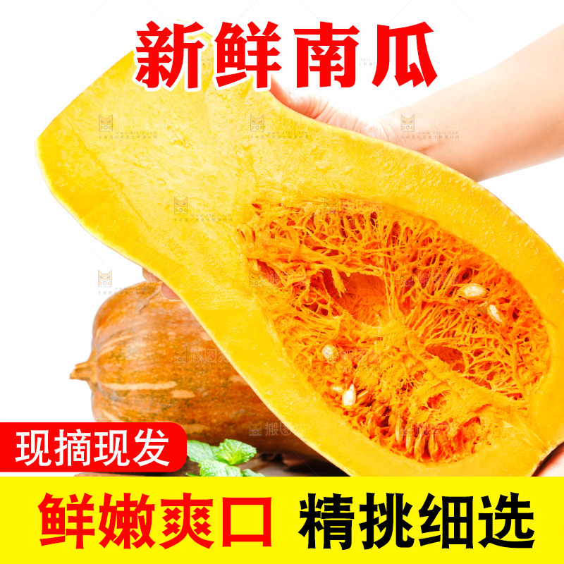 白底上的老南瓜