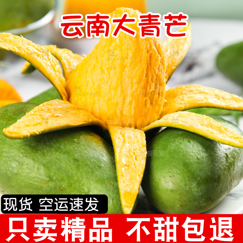 浅底上的新鲜大青芒