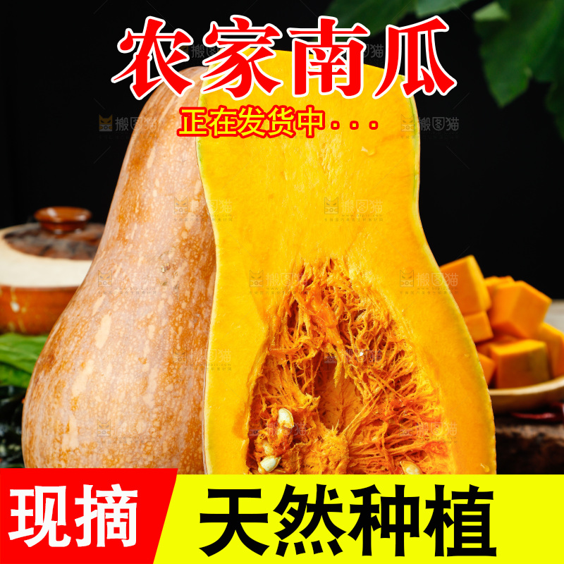 深底上的老南瓜