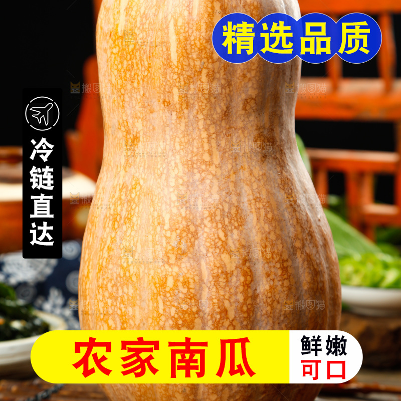 深底上的老南瓜