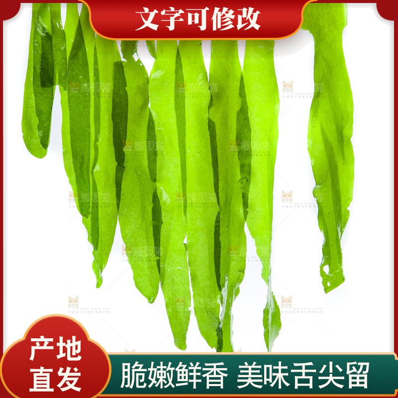 白底上的裙带菜