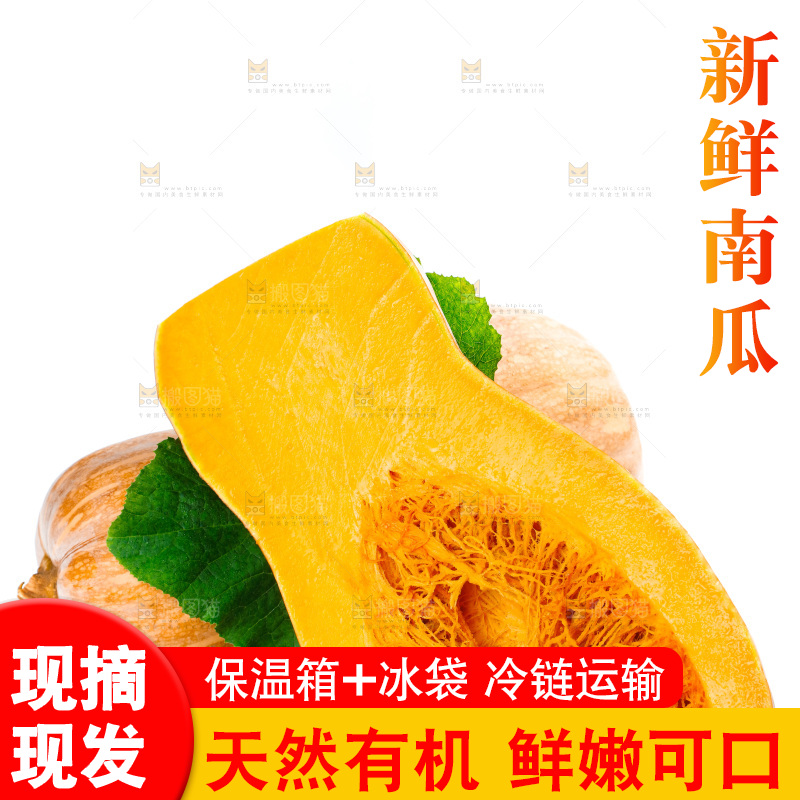 白底上的老南瓜