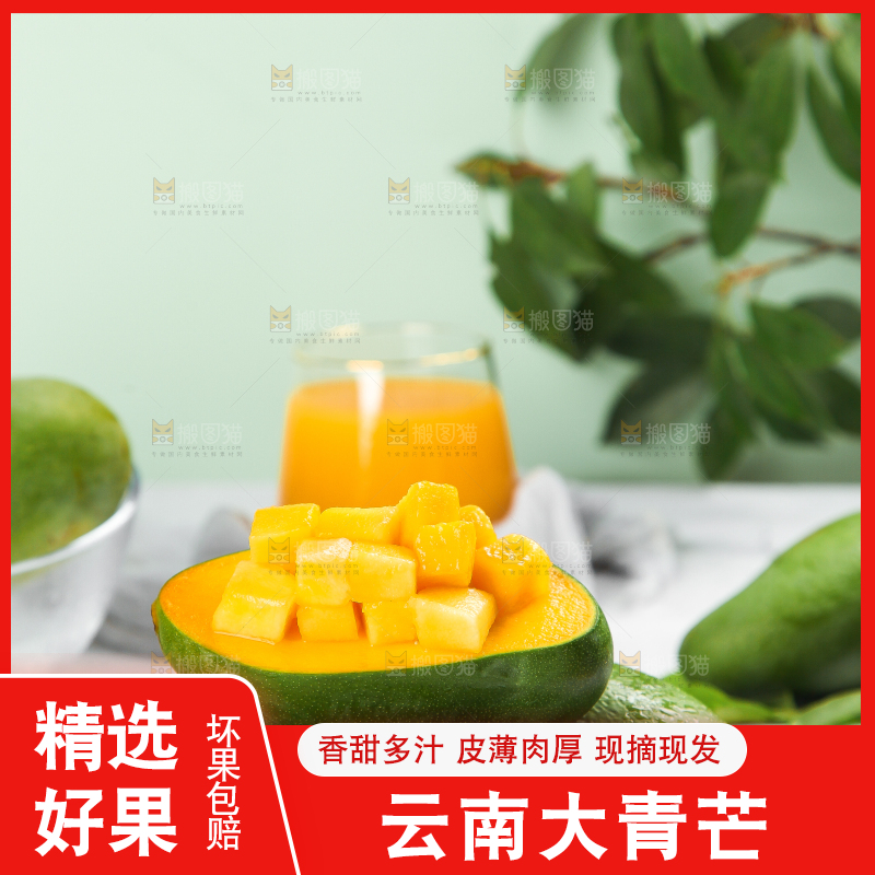 浅底上的新鲜大青芒