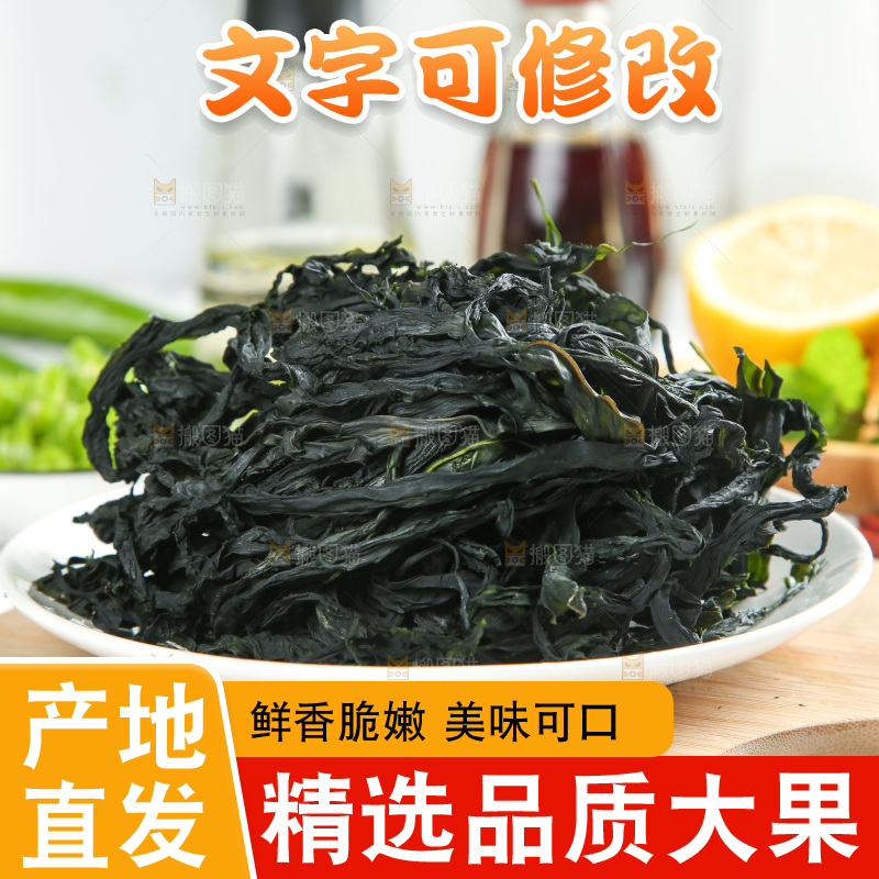 浅底上的裙带菜