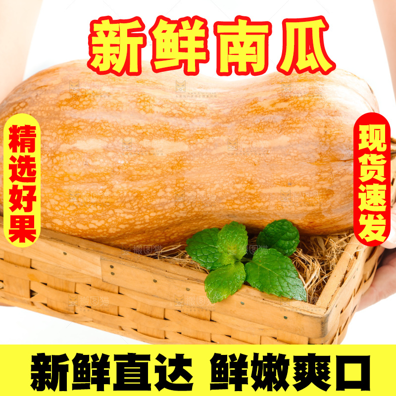 白底上的老南瓜