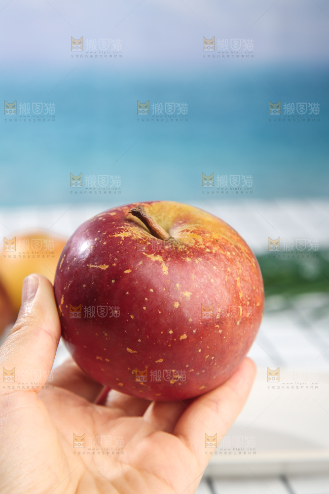 浅底上的昭通丑苹果