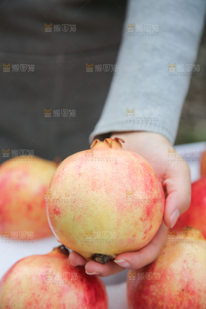 手里拿着突尼斯石榴