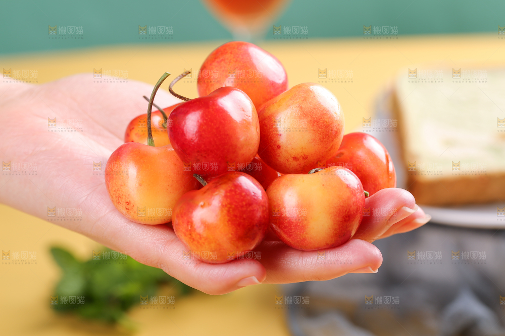 樱桃