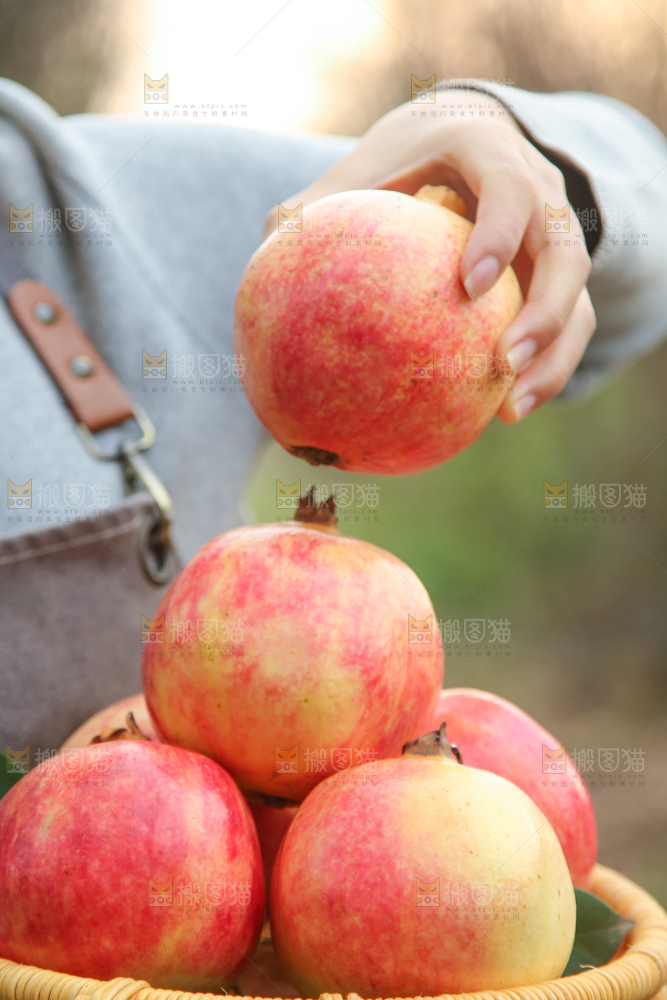 手里拿着突尼斯石榴
