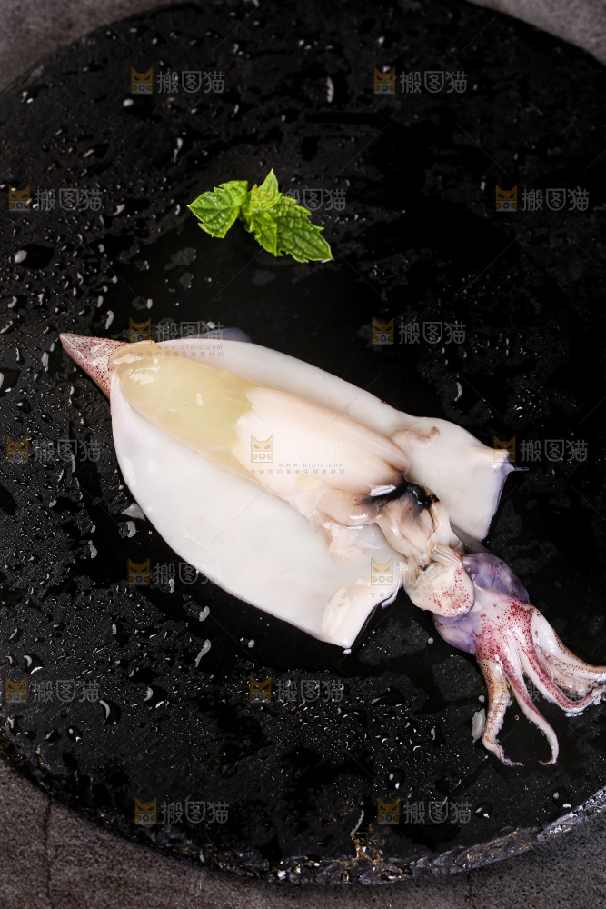 黑底上的海兔