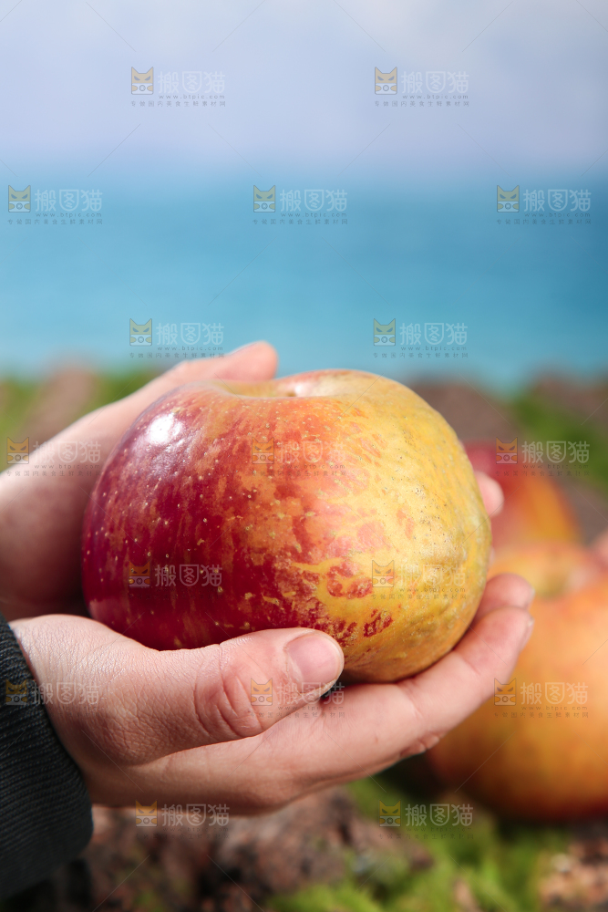 手里拿着昭通丑苹果