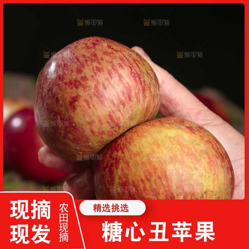 手里拿着昭通丑苹果
