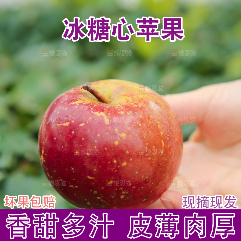 手里拿着昭通丑苹果