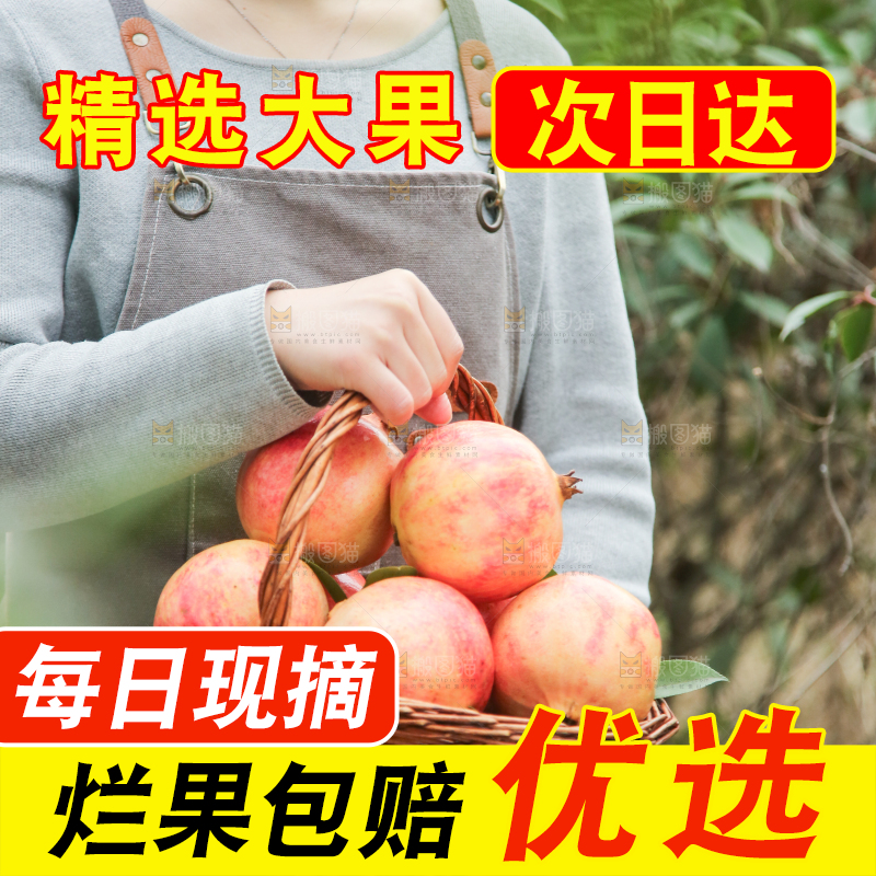 手里拿着突尼斯石榴