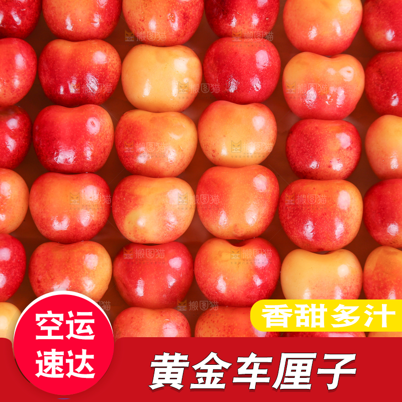 浅底上的黄金车厘子