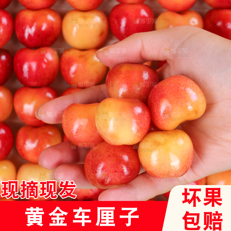 浅底上的黄金车厘子