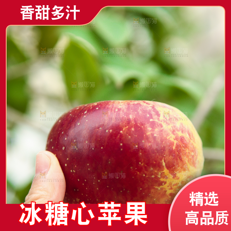 手里拿着昭通丑苹果