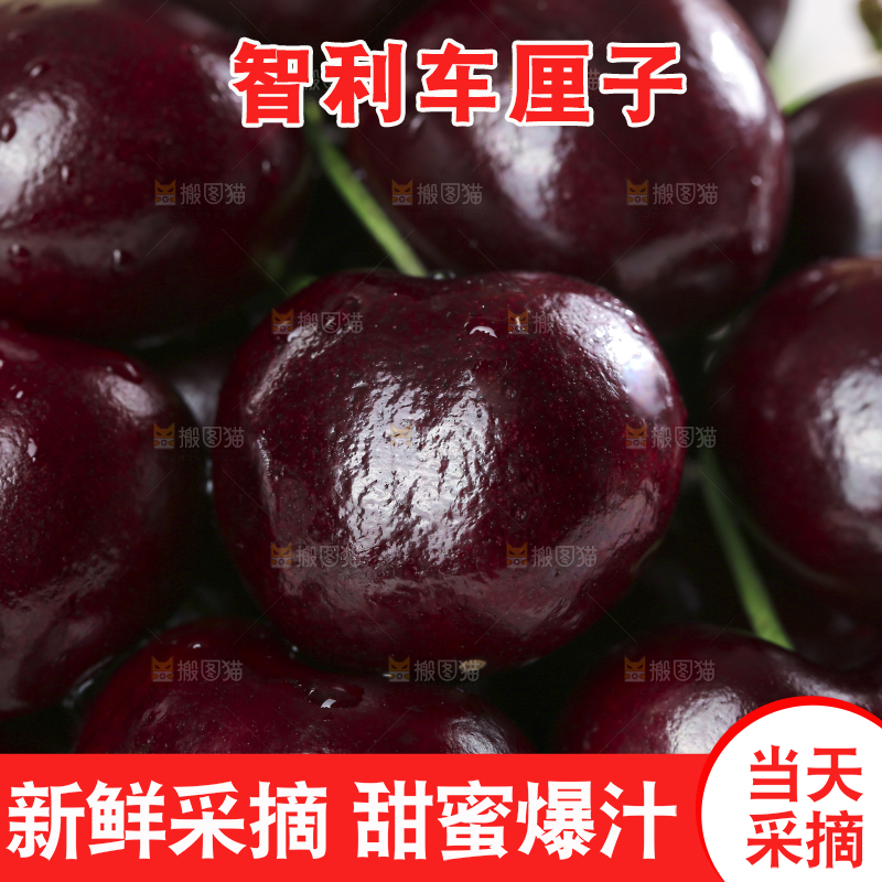 浅底上的智利车厘子
