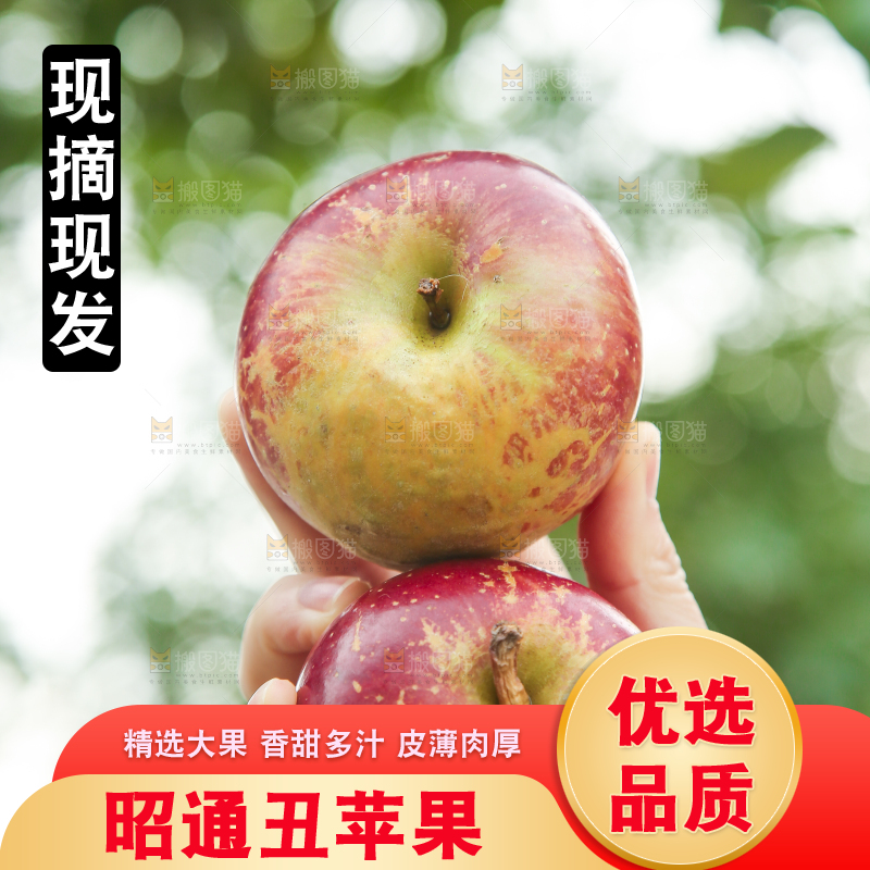 手里拿着昭通丑苹果