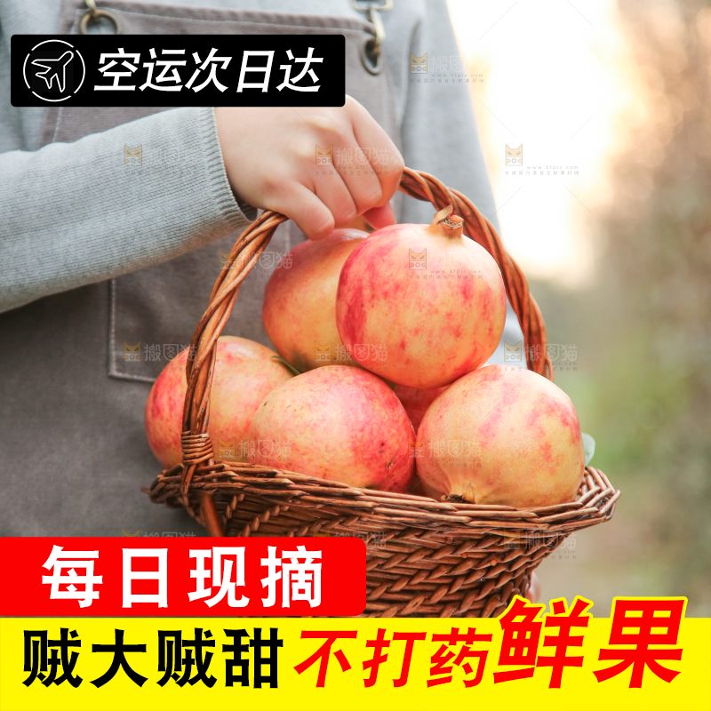 手里拿着突尼斯石榴