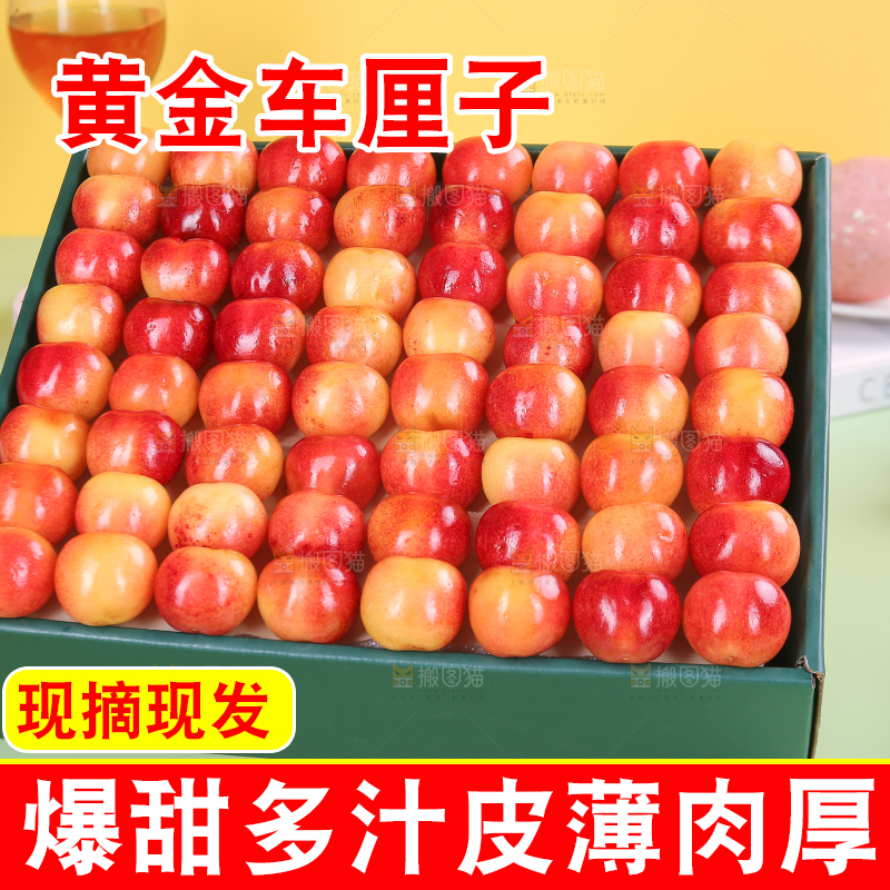 浅底上的黄金车厘子