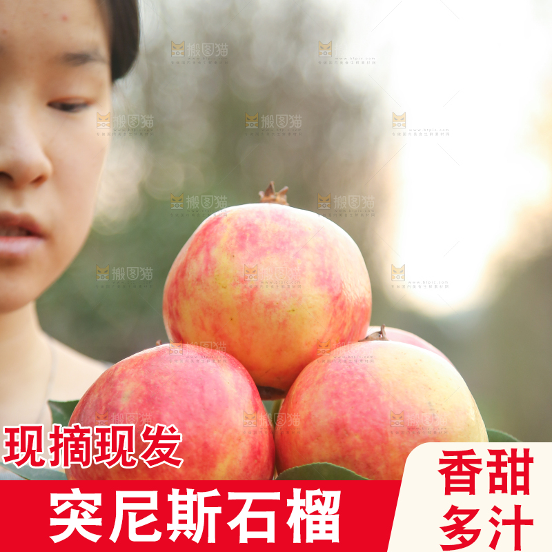 手里拿着突尼斯石榴