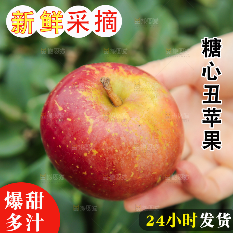 手里拿着昭通丑苹果