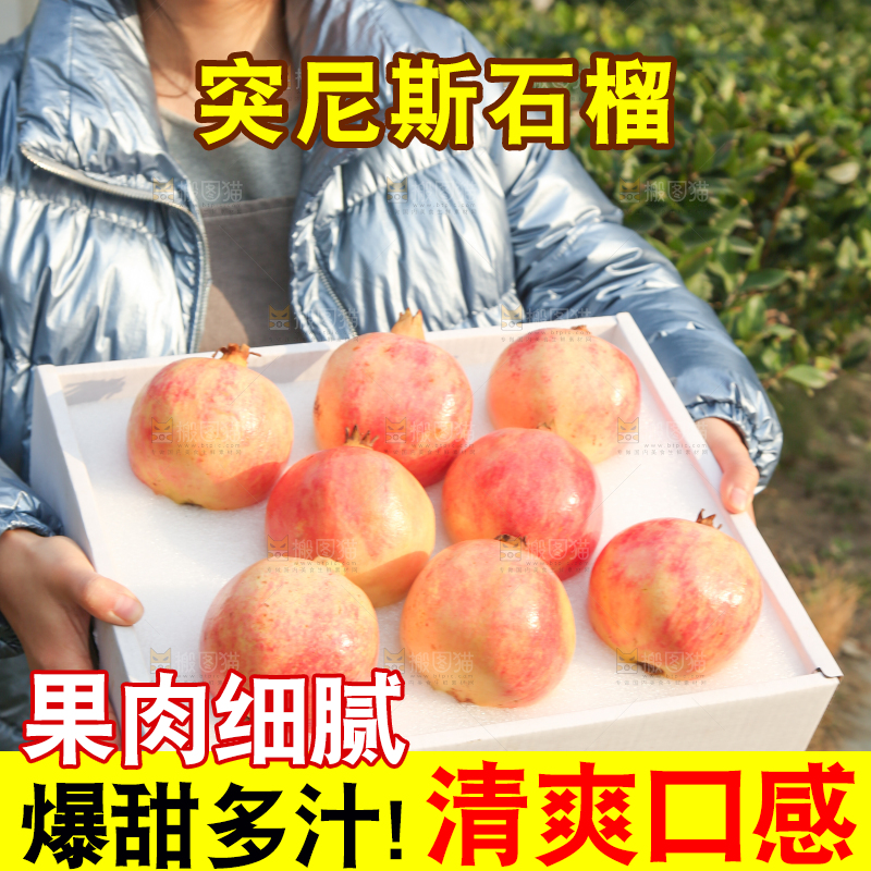 手里拿着突尼斯石榴