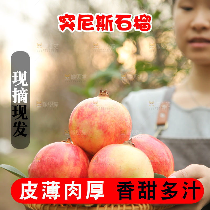 手里拿着突尼斯石榴