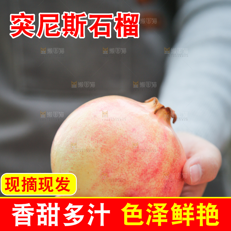 手里拿着突尼斯石榴