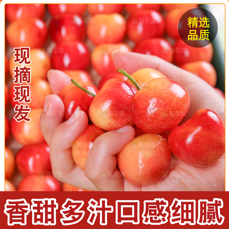 浅底上的黄金车厘子