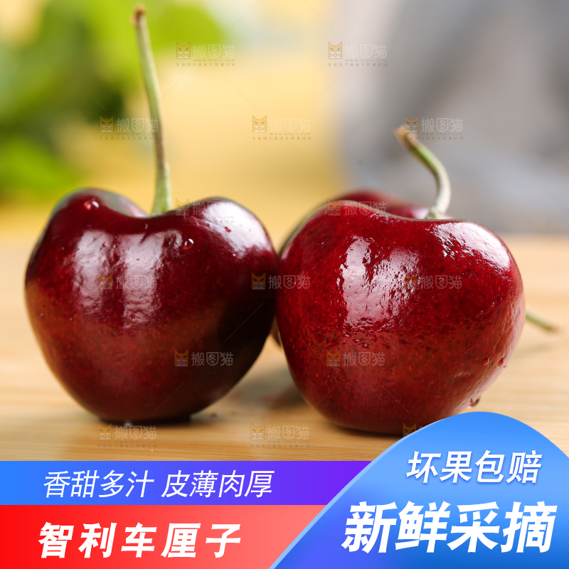 浅底上的智利车厘子