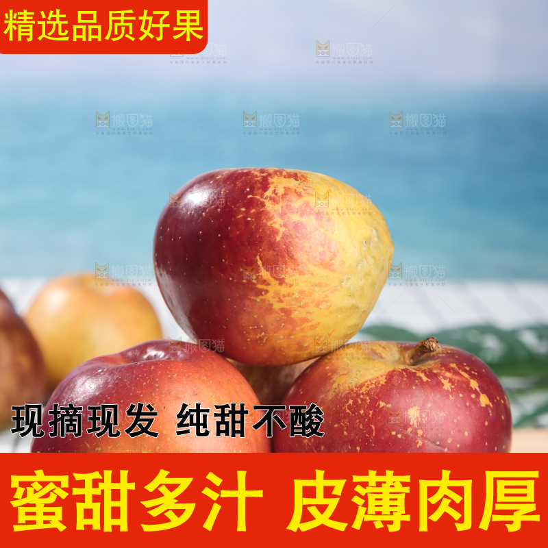 浅底上的昭通丑苹果