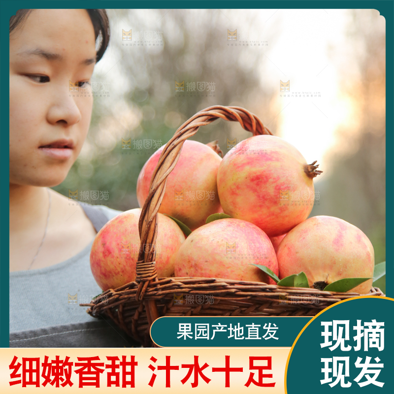 手里拿着突尼斯石榴