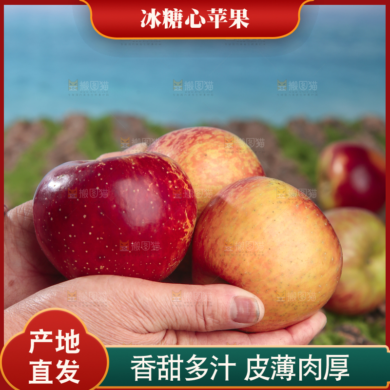 手里拿着昭通丑苹果